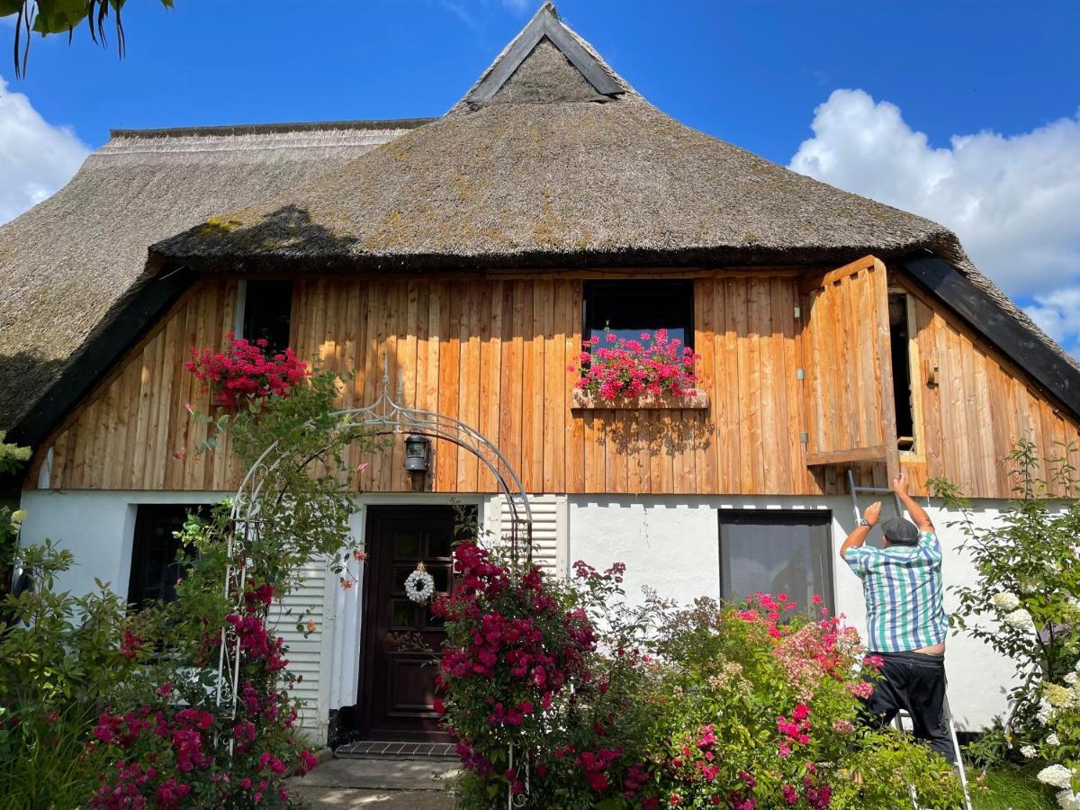Tiny House Ostsee # Naturwerk Pruchten Exterior photo