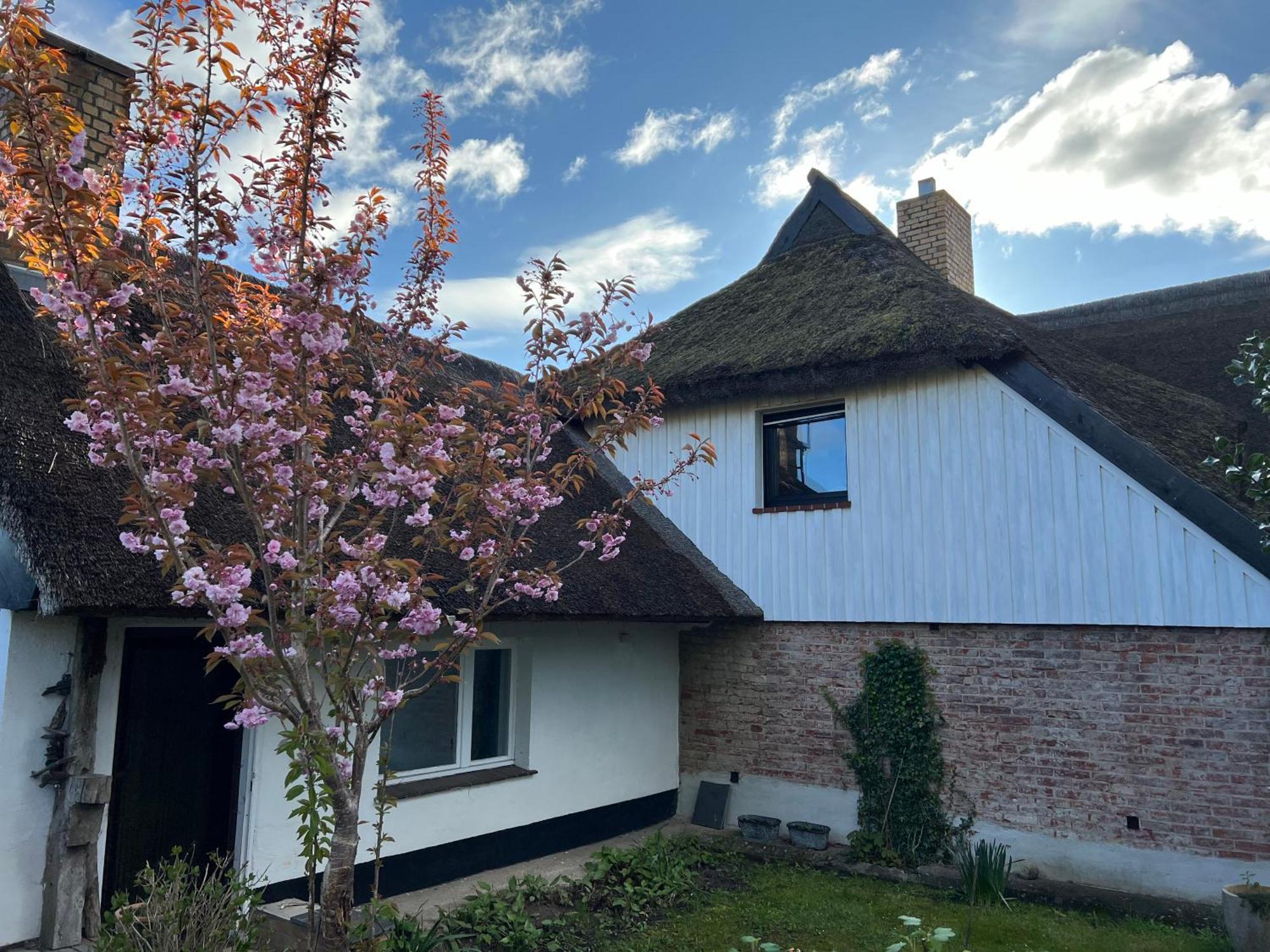Tiny House Ostsee # Naturwerk Pruchten Exterior photo